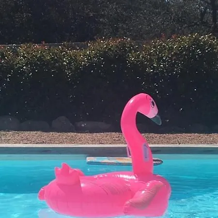 Proche Des Plages 公寓 维琪奥港