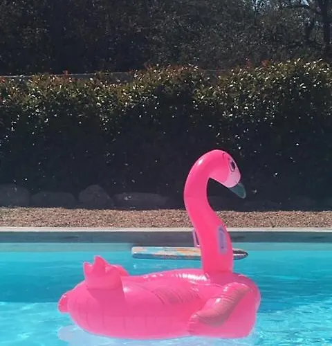 Proche Des Plages Appartement Porto-Vecchio (Corsica)